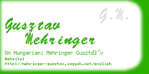 gusztav mehringer business card